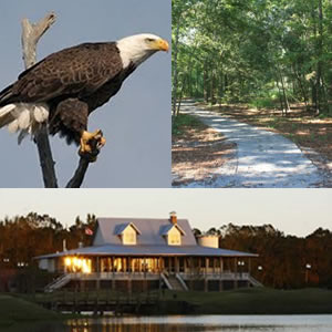 Louisiana Eagles